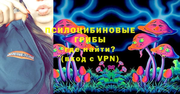 гашик Алзамай