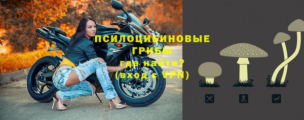 гашик Алзамай